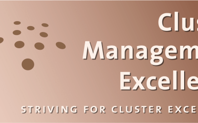 Emerald Aero Group Achieves “Cluster Management Excellence Label Bronze”
